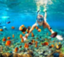 Nusa Penida 2 Nights 3 Days Honeymoon Itinerary