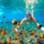 One Day Nusa Penida Land tour with snorkeling, visit 3 spot points (Gamat Bay, Manta Bay & Crystal Bay) with Private transfers