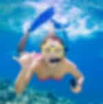 Great Barrier Reef Snorkeling and Diving Cruise from Cairns