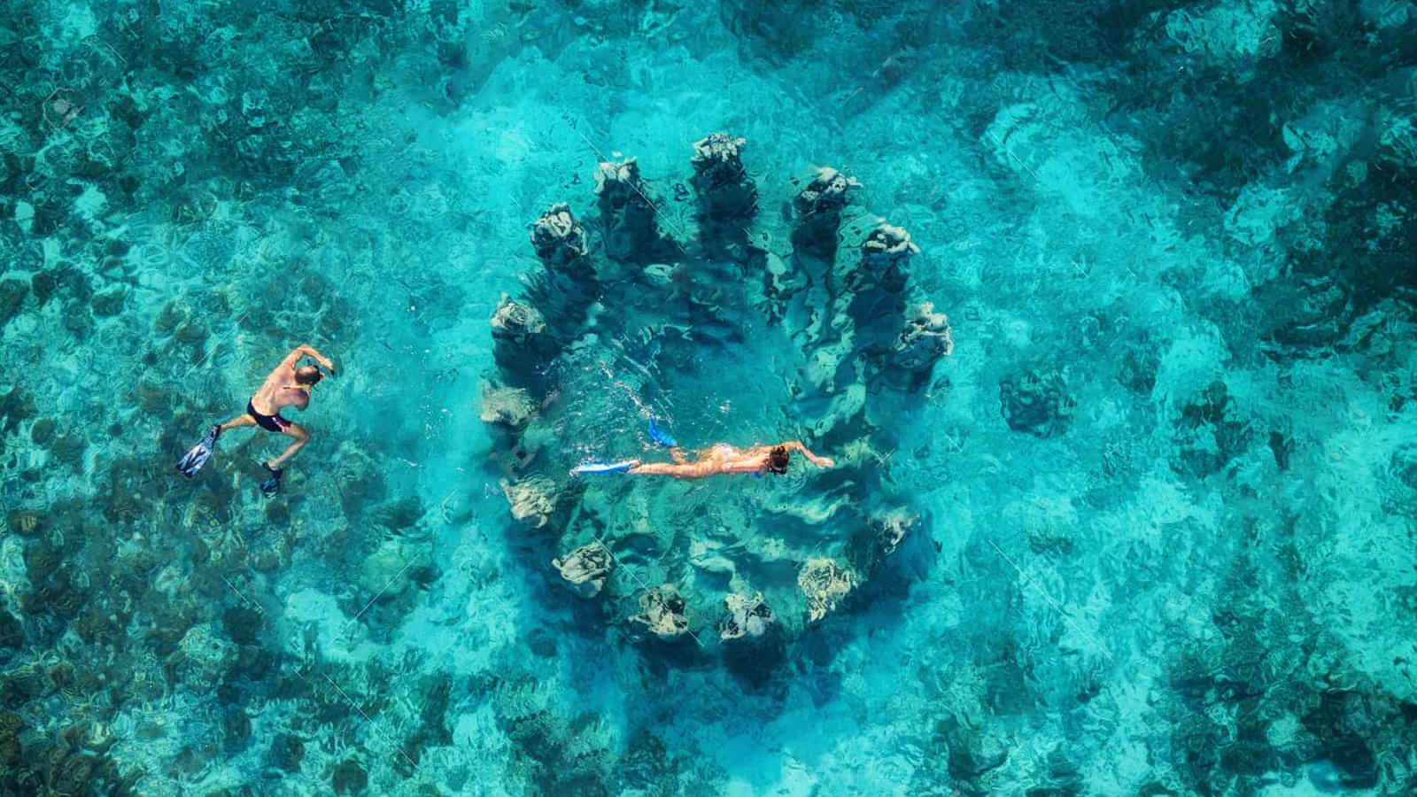 Snorkeling At Elephant Beach, Andaman