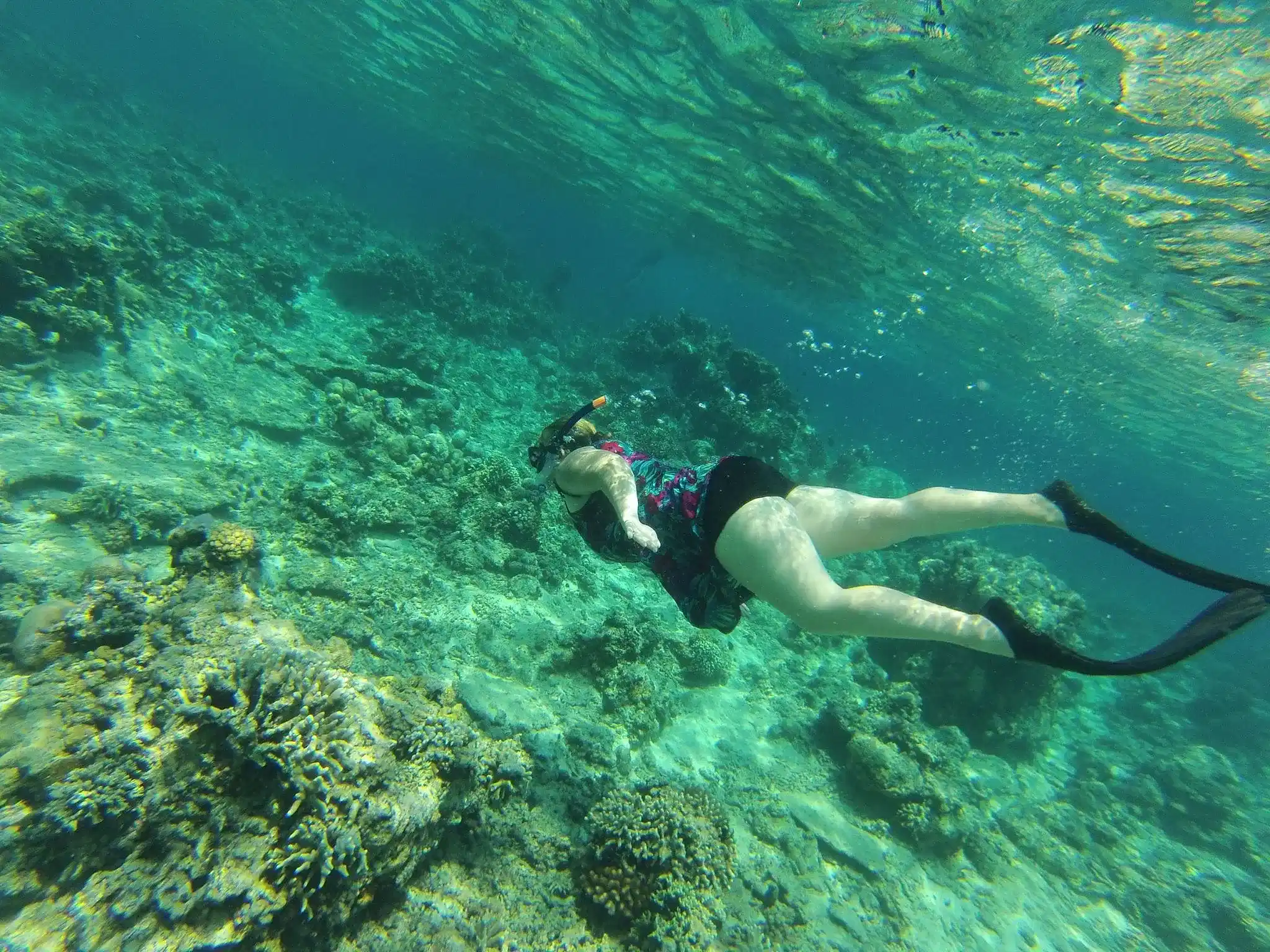 Snorkeling (Depart Gili T),Gili Trawangan, Gili Meno