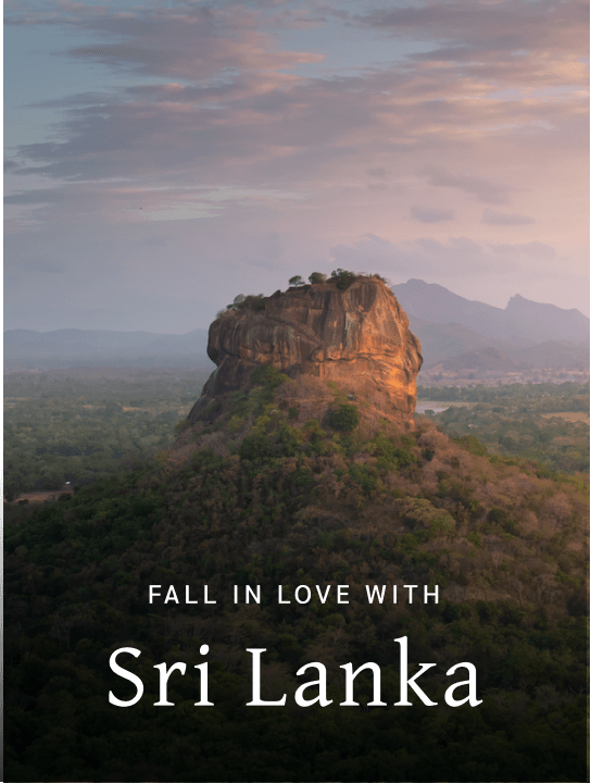 Sri Lanka Tour Packages From Srinagar