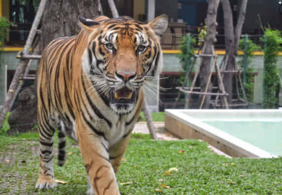 BannerImage