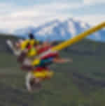Shotover Canyon Swing