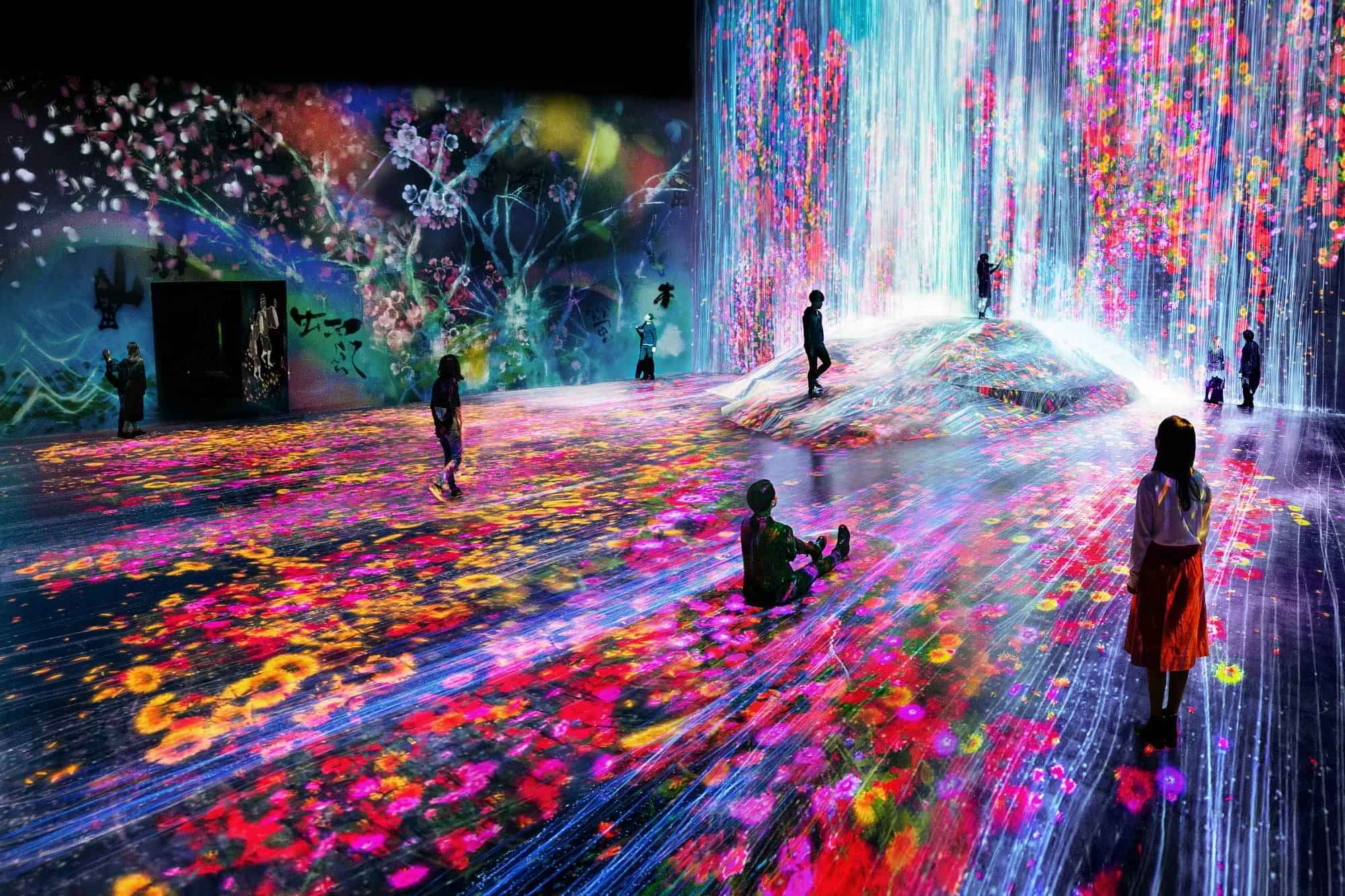 teamLab Borderless Entrance Pass in Tokyo