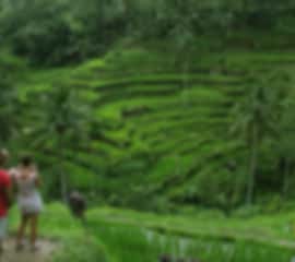 Refreshing Bali Tour Packages From Bangalore