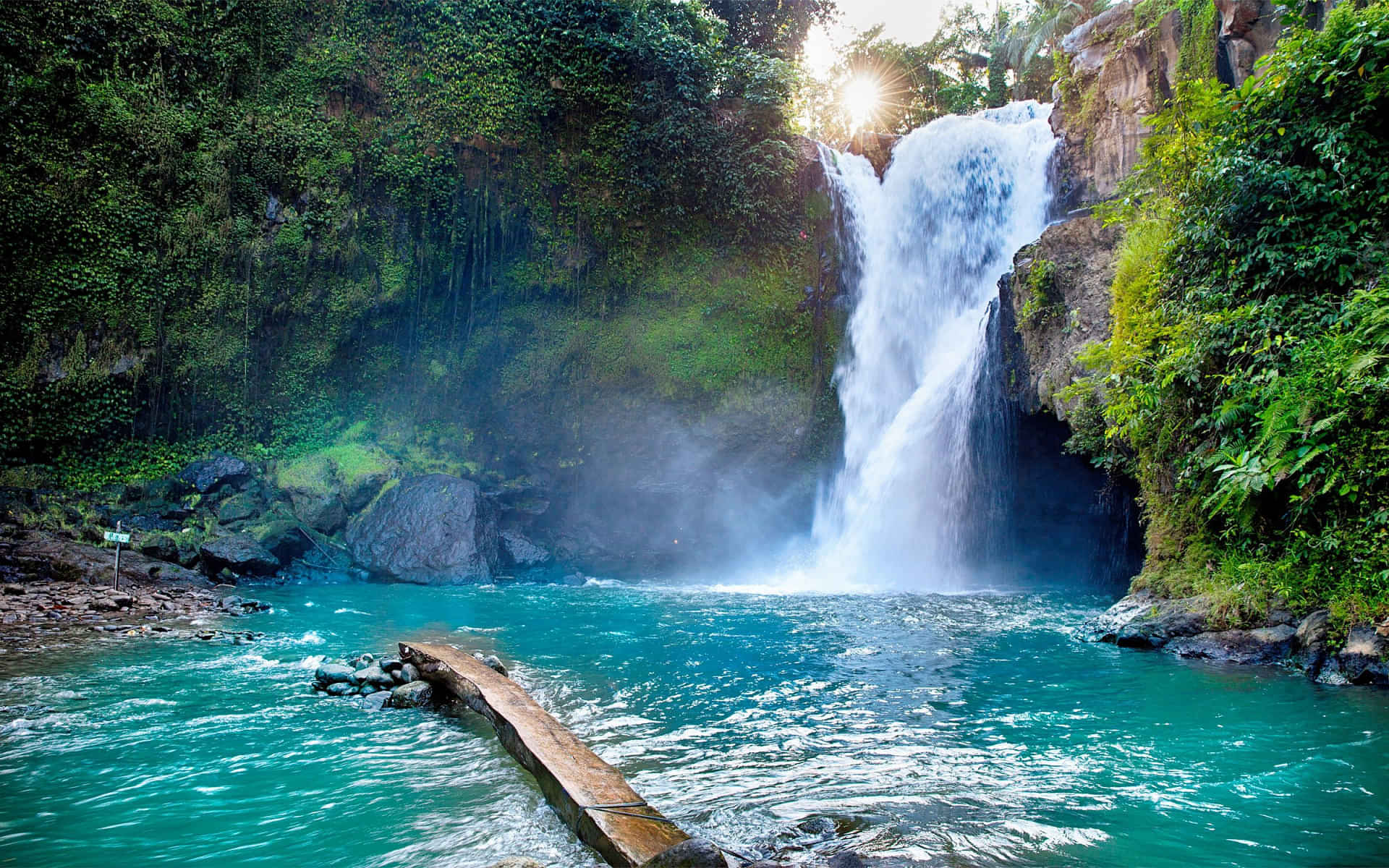 Tegenungan water fall, Tegallalang Rice Fields & Monkey Forest