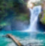 Tegenungan water fall, Tegallalang Rice Fields & Monkey Forest