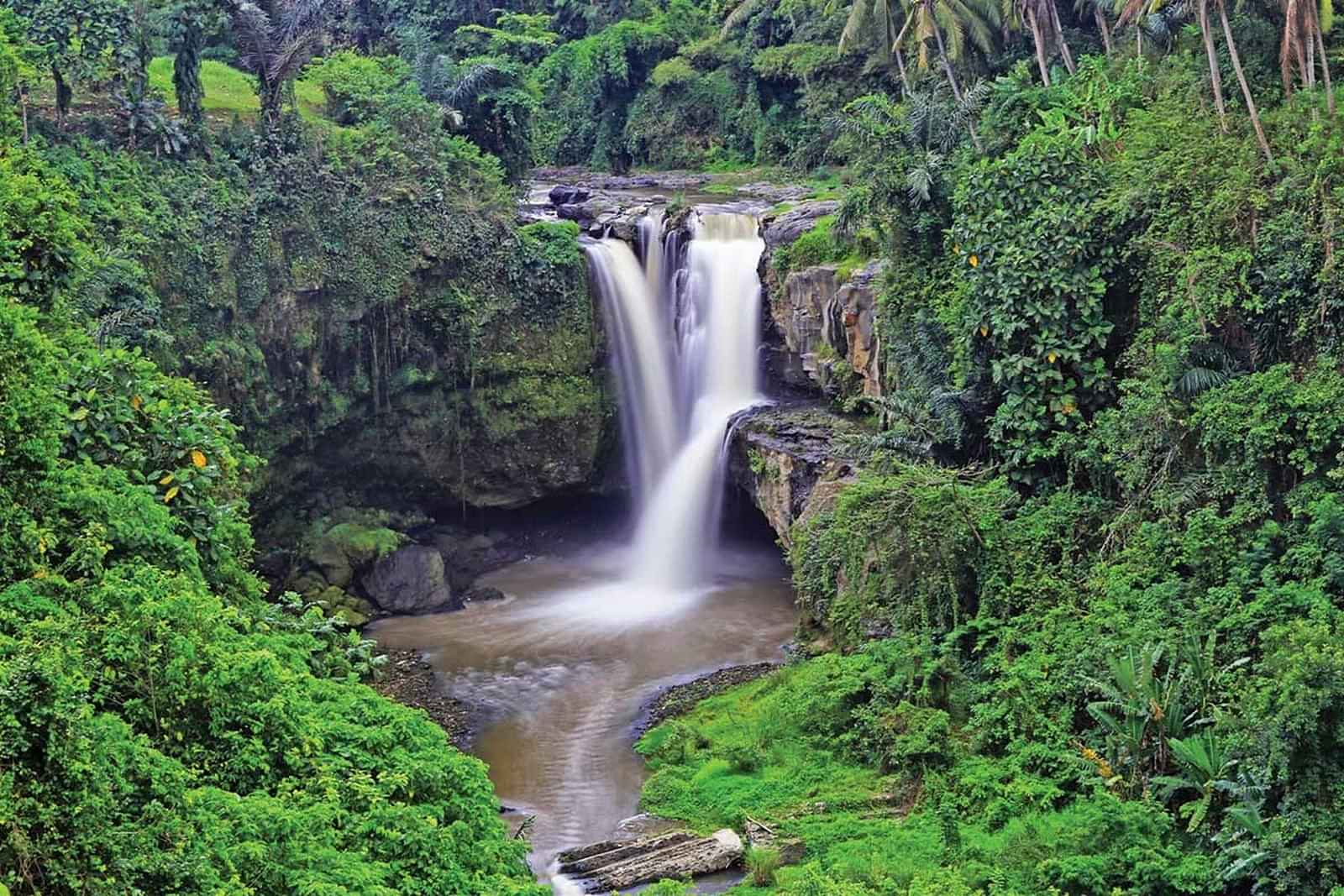 Kintamani Volcano Viewpoint + Tegenungan Water Fall + Coffee Plantation + Tegallalang Rice fields + My Swing Bali (Active Package) with local lunch