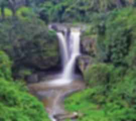 Epic 7 Nights Delhi To Bali Indonesia Package