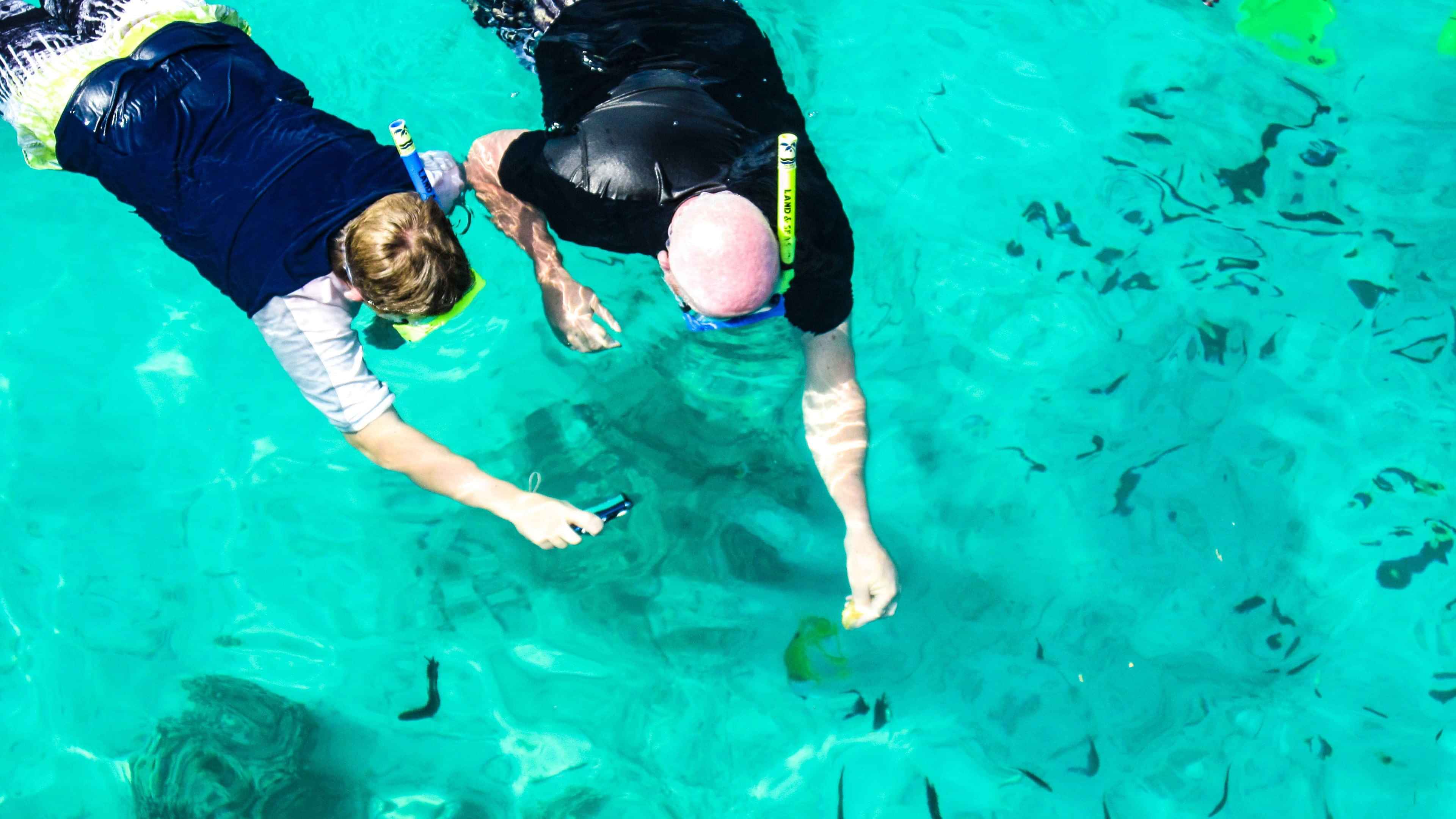 Glass Bottom Boat, Turtle Island, Snorkeling With Shared Transfers