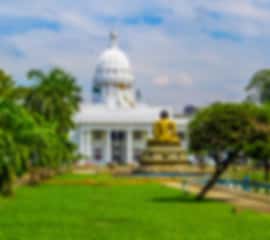 Gorgeous 5 Days Srilanka Honeymoon Package