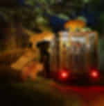 Night Safari with Admission and Tram Ride (Tickets Only )