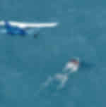 Air Whale Watching in Kaikoura