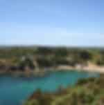Visit Waiheke Island