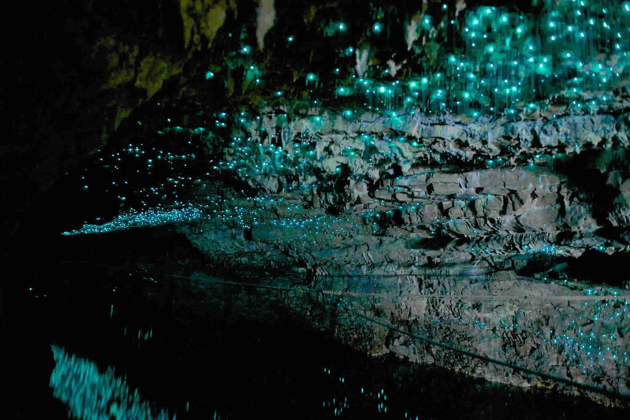 Waitomo Glowworm and Rotorua Day Trip return Auckland