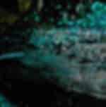 Waitomo Glowworm and Rotorua Day Trip return Auckland