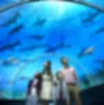 Water Puppet Show and Old Quarter Walking Tour of Hanoi