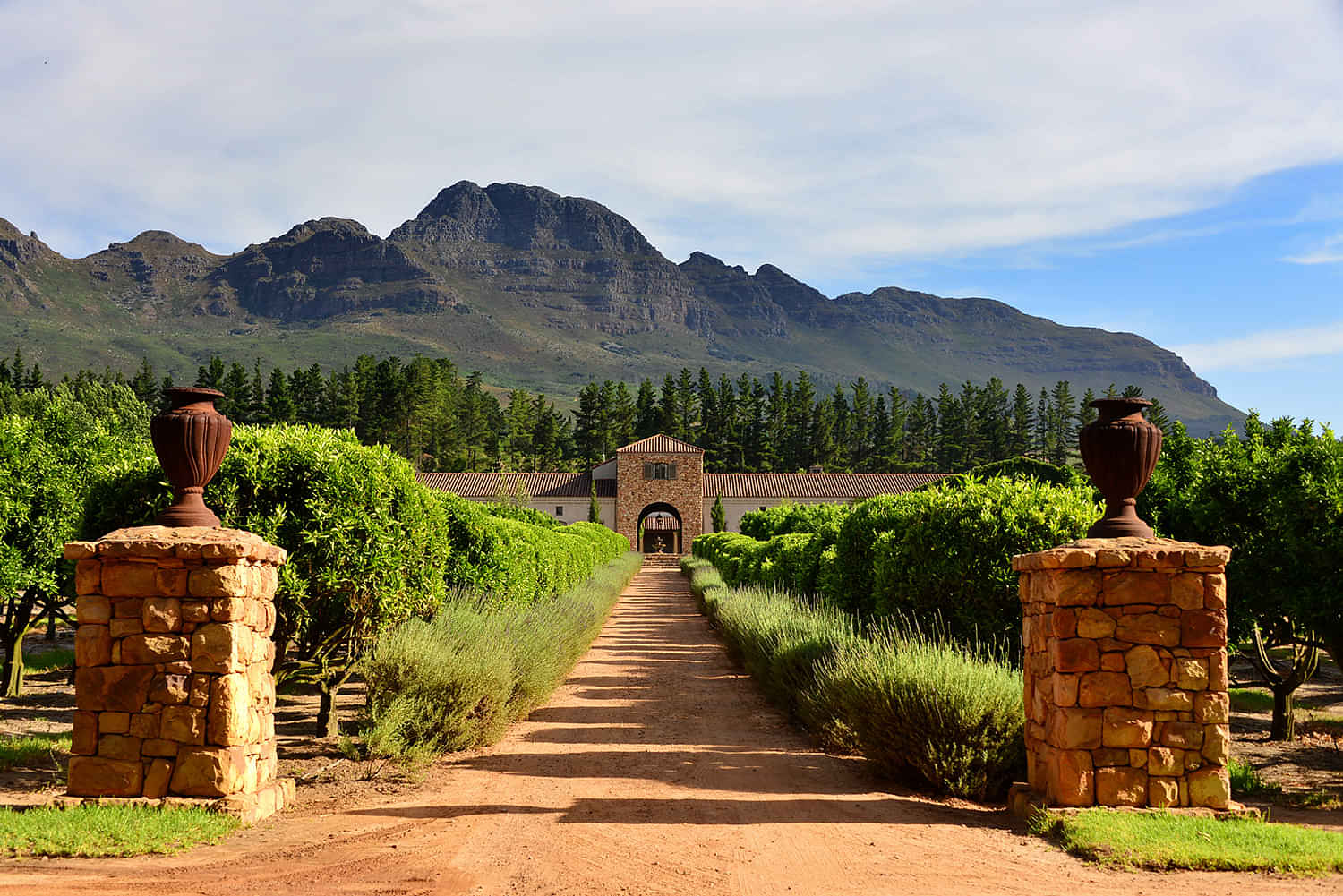 Stellenbosch Wine Tour from Cape Town