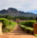 Stellenbosch Wine Tour from Cape Town