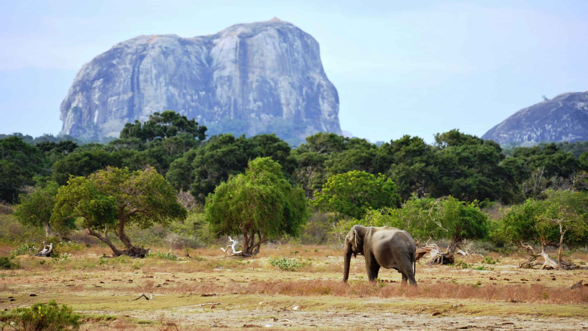 Yala National Park Entrance- Entrance Fee 28 USD Per Person Pay Directly