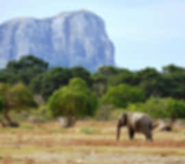 Magnificent 9 Days Honeymoon Package to Sri Lanka