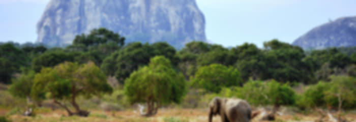 Magnificent 9 Days Honeymoon Package to Sri Lanka