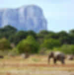 Yala National Park – Jeep Safari- Entrance Fee 36 USD for 6 Person Pay Directly