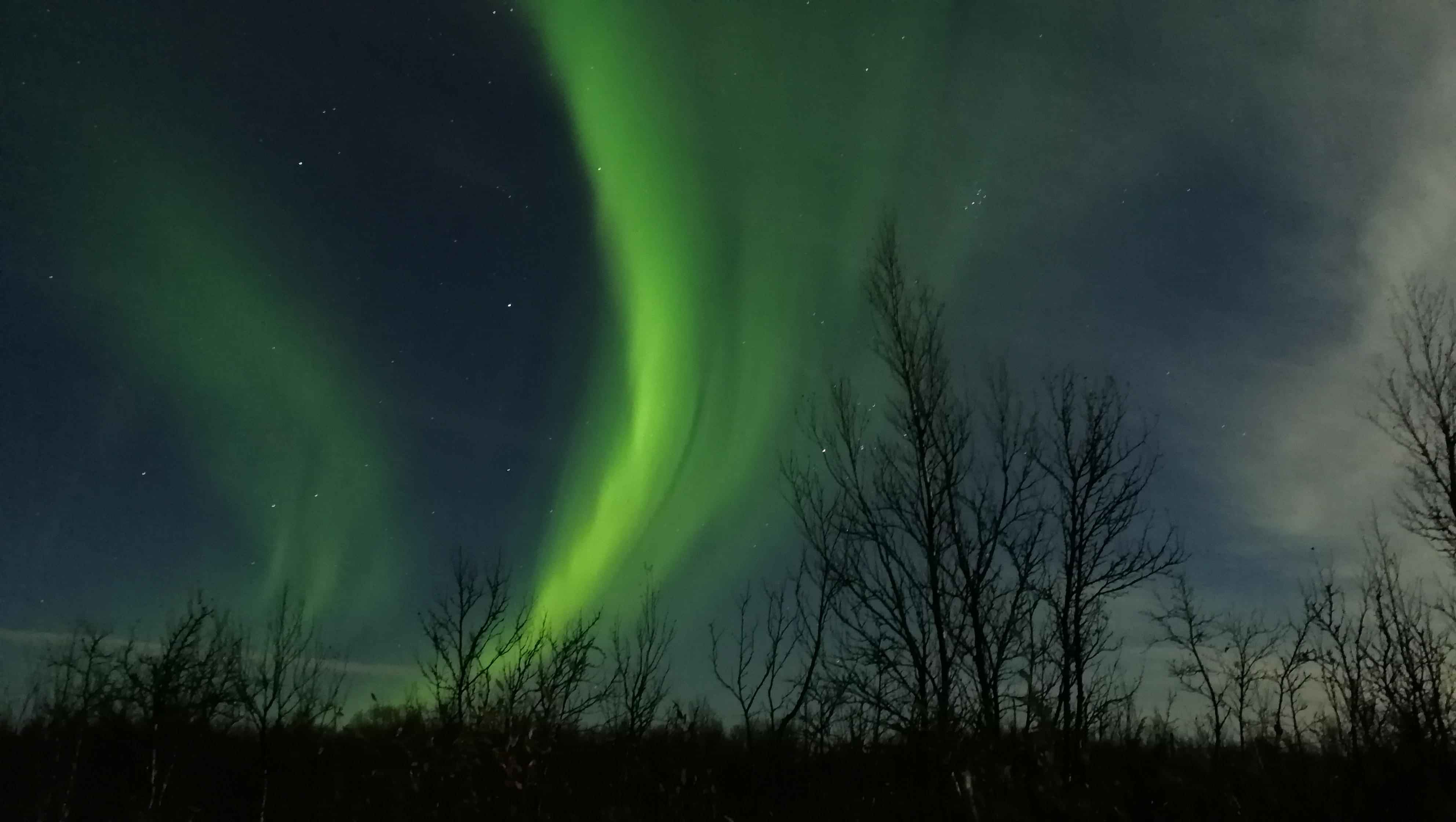 Kiruna: Northern Lights Tour to Abisko National Park