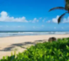 6N Vietnam Beach Bliss – Da Nang & Phu Quoc