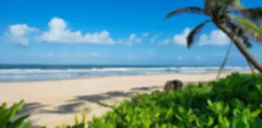 6N Vietnam Beach Bliss – Da Nang & Phu Quoc