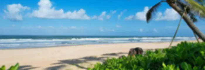6N Vietnam Beach Bliss – Da Nang & Phu Quoc