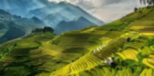 7N Ultimate Vietnam Explorer - Hanoi, Hoi An, Da nang and Ho Chi Minh