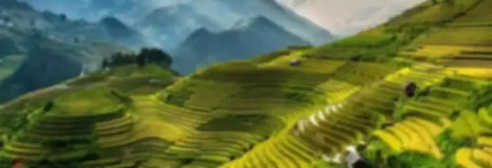7N Ultimate Vietnam Explorer - Hanoi, Hoi An, Da nang and Ho Chi Minh