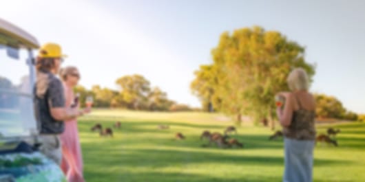 Western Australia Wonders: 8-Day Family Holiday
