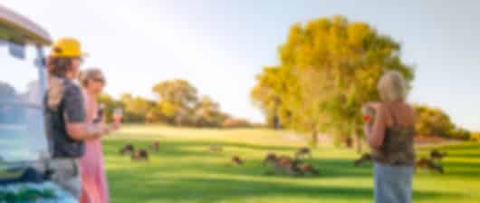 Western Australia Wonders: 8-Day Family Holiday
