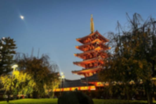 Cherry Blossom Skies of the North – 8 Nights to Sapporo, Kyoto and Tokyo