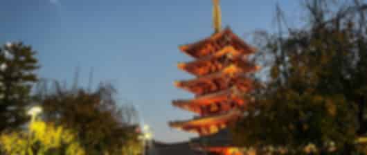 Cherry Blossom Skies of the North – 8 Nights to Sapporo, Kyoto and Tokyo
