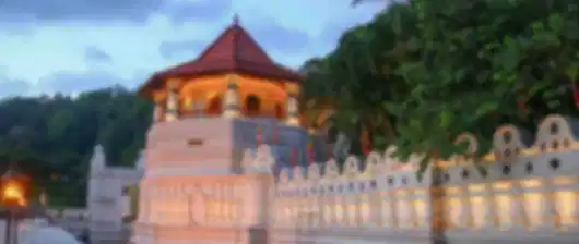 3 Nights | Nuwara & Kandy – Heritage & Hills