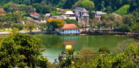 5 Nights Dambulla, Kandy & Nuwara Eliya | Heritage Sites, Wildlife Safari and Hill Country