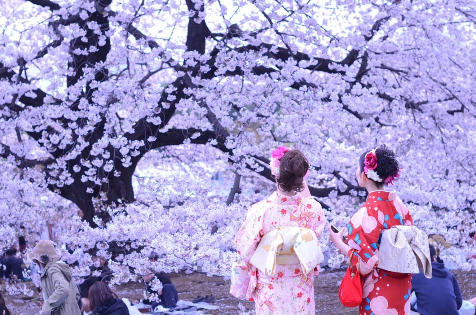 Discover Japan in 8 Nights: From Fuji to Hiroshima