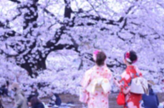 Discover Japan in 8 Nights: From Fuji to Hiroshima