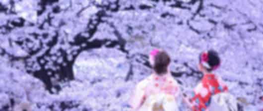 Discover Japan in 8 Nights: From Fuji to Hiroshima