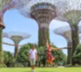 Singapore Highlights Discovery