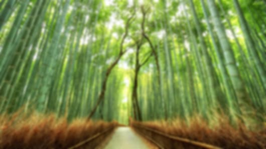 Thrilling 9 Nights Japan Vacation Packages