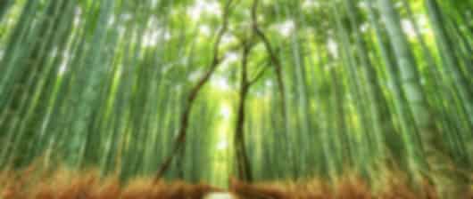Thrilling 9 Nights Japan Vacation Packages
