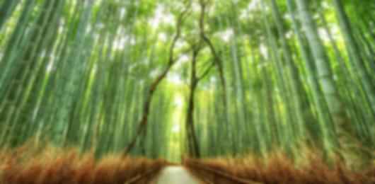 Thrilling 9 Nights Japan Vacation Packages