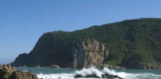 Mesmerizing 11 Nights South Africa Packages from India