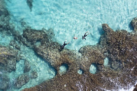 Perth Explorer: Handpicked itinerary for 6 Nights
