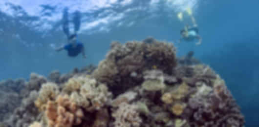5 Days Cairns Tour Package